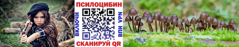 Псилоцибиновые грибы Psilocybe  хочу наркоту  Обоянь 